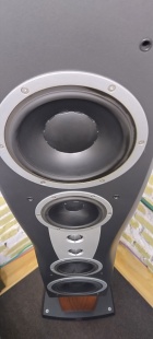 Dynaudio Confidence 4 фото 2109