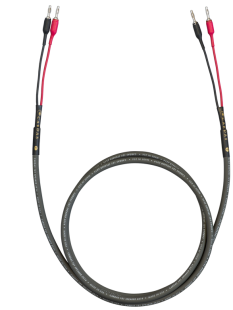 101 Speaker 3.0m Banana-Banana фото 2129